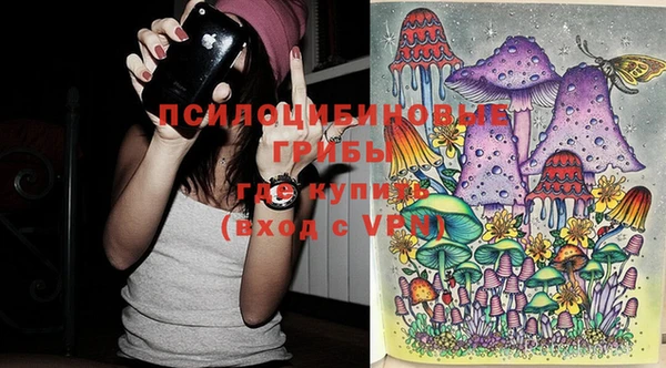 мдпв Надым