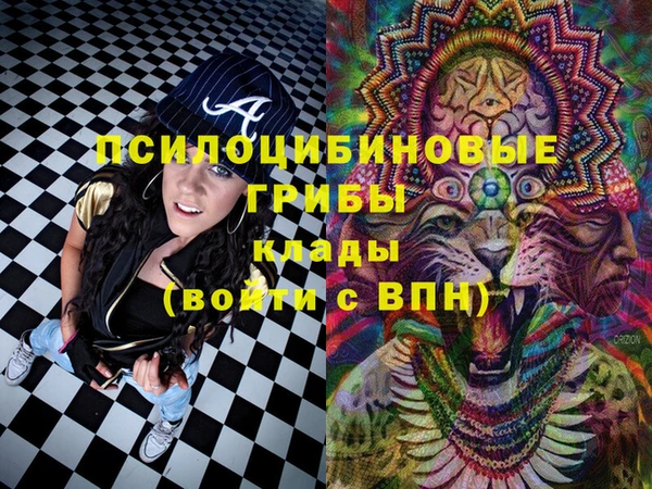 крисы Карпинск